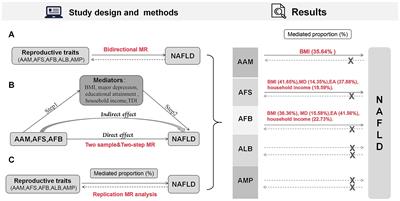 Health condition and socioeconomic status mediate the causal effect of reproductive traits on nonalcoholic fatty liver disease: evidence from Mendelian randomization study